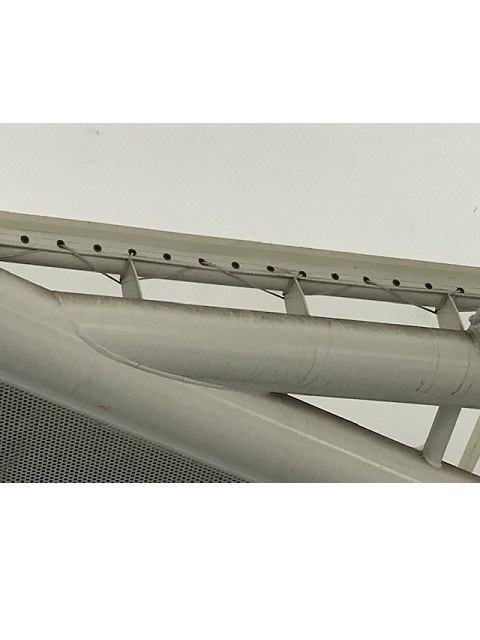 ������S�����ס��ʥܥӥ󴬡�