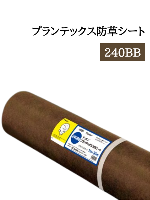 �ץ��ƥå���(���С���)���𥷡��� ñ�� 240BB/125BB