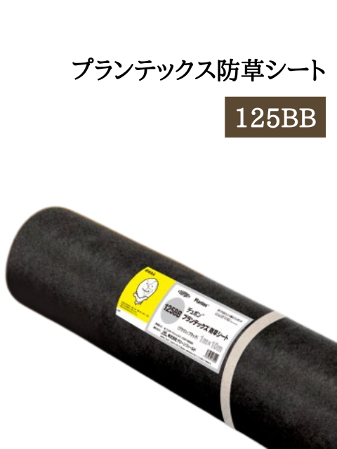 �ץ��ƥå���(���С���)���𥷡��� ñ�� 240BB/125BB