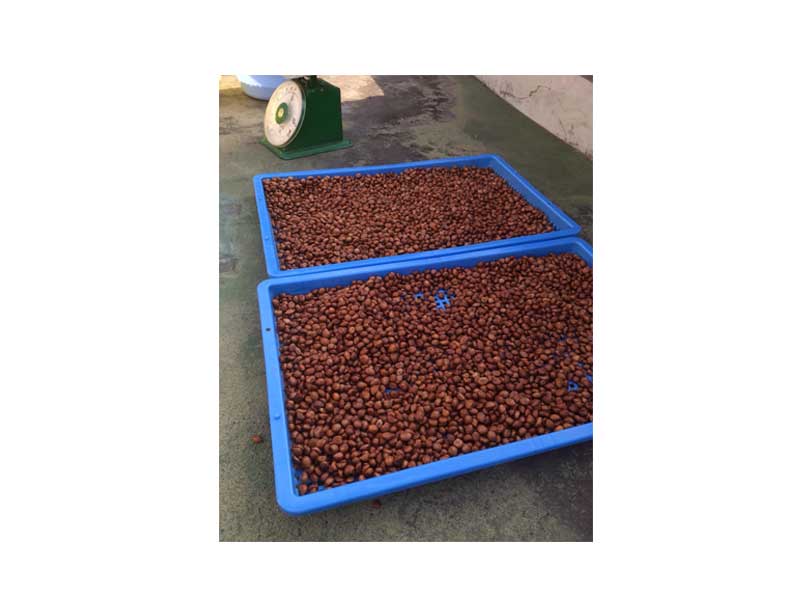 ڤӤμ老ӡɿƦʤɤˡۤӤμ500ˡ