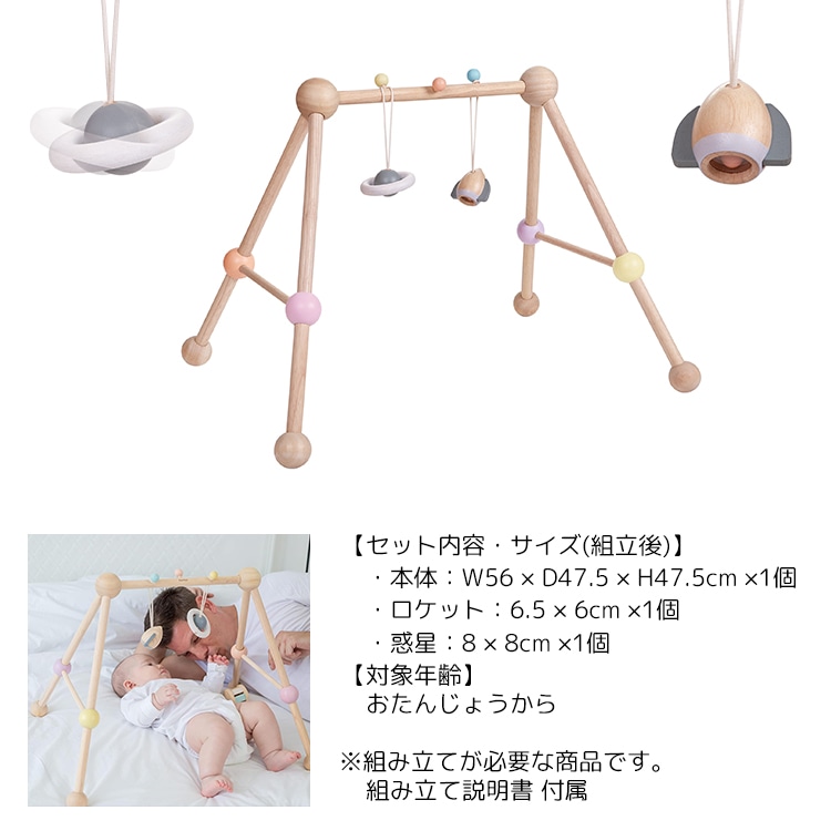 PLANTOYS/プラントイ プレイジム[5260]【自転車用チャイルドシート 