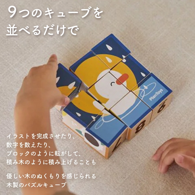 PLANTOYS/プラントイ パズルキューブ [4649] 木製パズルキューブ