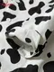 �����ե����� Chef Coat Long Sleeve Vented Cow White