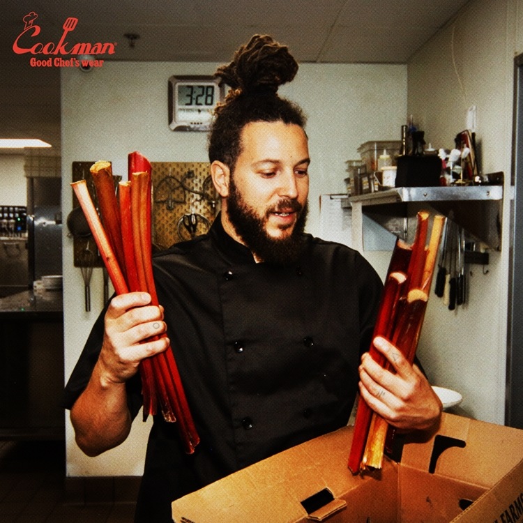 �����ե����� Chef Coat Short Sleeve Vented Black