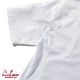 �����ե����� Chef Coat Short Sleeve Side Mesh White (Women��s)