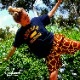 եѥ Chef Pants Short Giraffe