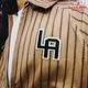 �ǥ�Х꡼���㥱�å�  Delivery JacketNegro Leagues LA White Sox