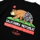 T TM Paint California bear