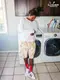 �����եѥ�� Chef Pants Short Corduroy Bleach Beige
