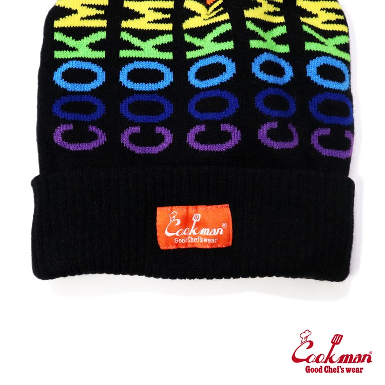 ӡˡ Beanie Logo Rainbow