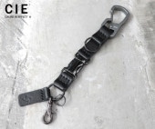 CIE ���� �쥶���ǥ��å� �����ե��� �ʥ��顼�����졼�� 082101