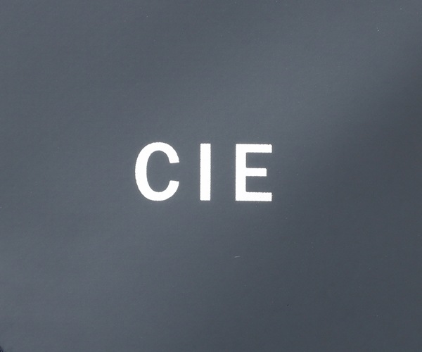 �����٤�Υ٥�ƥ��ա� CIE ���� �����ꥢ�� �Хå��ѥå�02 L �ʥ��顼���ͥ��ӡ��� 021822