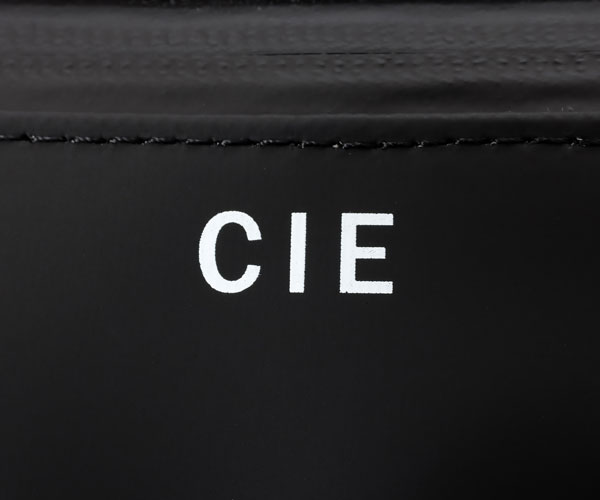 ٤Υ٥ƥա CIE  ꥢ 02 ʥ顼֥å 021824