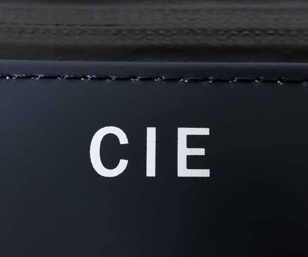 ٤Υ٥ƥա CIE  ꥢ 02 ʥ顼ͥӡ 021824