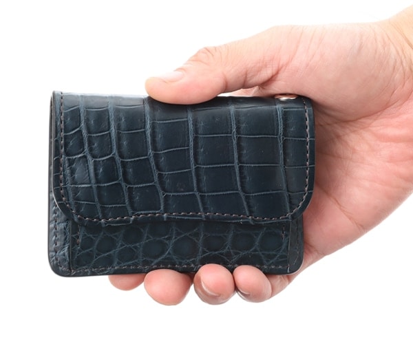 選べるノベルティ付】【パターンB】ワイルドスワンズ×クールキャット