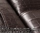 �����٤�Υ٥�ƥ��աۥ磻��ɥ���� ������������ �����ͥ�� �����ɥ������ʥ��顼�����祳�� CROCODILE GENERAL WILD SWANS