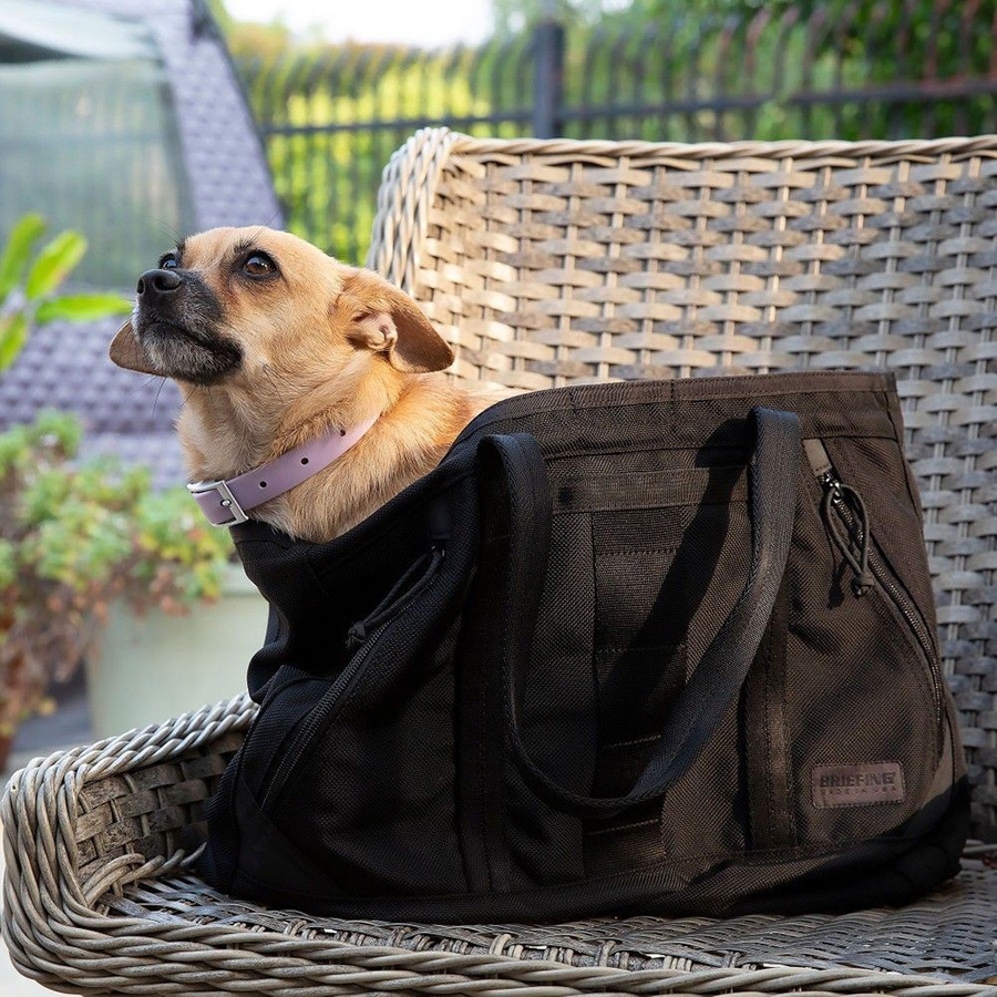 �����٤�Υ٥�ƥ��ա� �֥꡼�ե��� BRIEFING �ȡ��ȥХå�(M) DELTA MASTER TOTE M SQD �ʥ��顼���ǥ����ץ����� BRA231T39