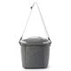 �����٤�Υ٥�ƥ��ա� �֥꡼�ե��� BRIEFING �����顼�Хå� M COOLER BAG ��M�������� CS �ʥ��顼���֥�å��� BRG251E13