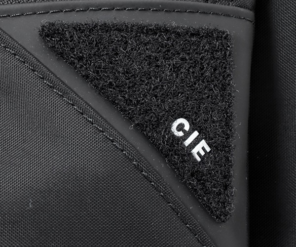 �����٤�Υ٥�ƥ��ա� CIE ���� �ե��� �ȡ��ȥХå� �ʥ��顼���֥�å��� 022101