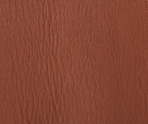 �ݡ����� �Х��� �֥꡼�ե����� 206-02630 �ʥ��顼���֥饦���