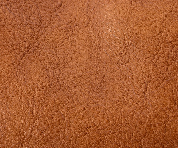 �����٤�Υ٥�ƥ��ա� NELD �ͥ�� ������N ���å� �ʥ��顼��������� FN638