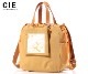 �����٤�Υ٥�ƥ��ա� CIE ���� �������� �ȡ��ȥХå�S �ʥ��顼���ޥ������ɡ� 042301
