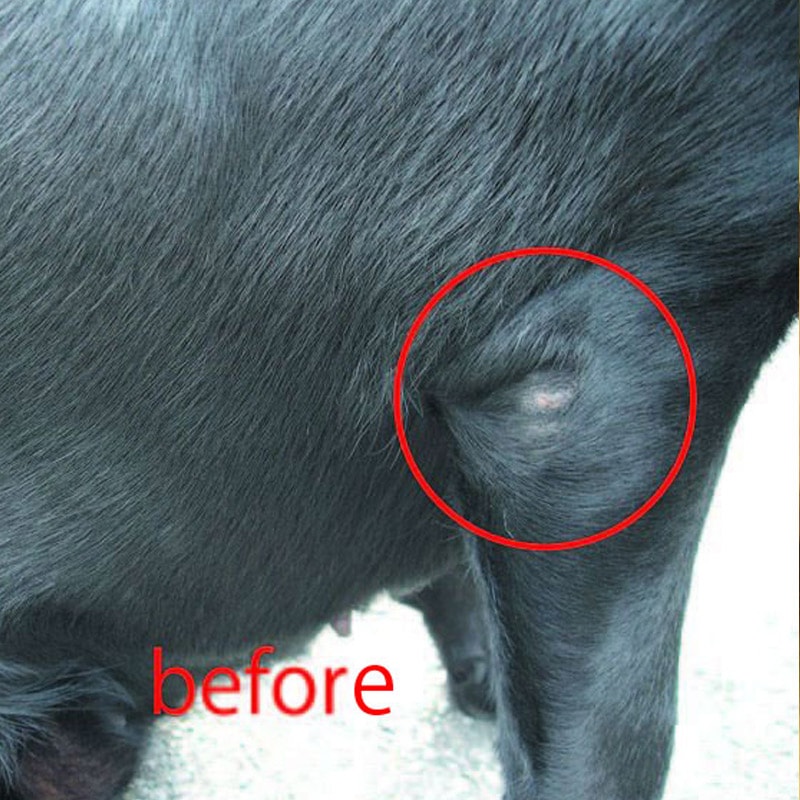 ひじダコがこんなにきれいに！（使用前）