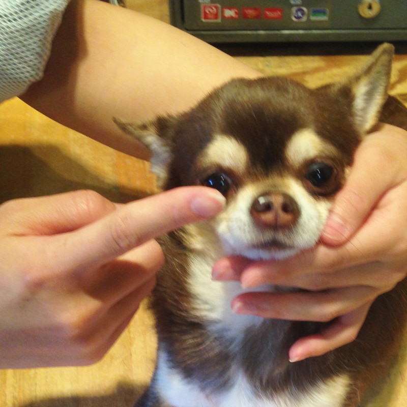 自然成分のみ使用しているため、デリケートな部分にも安心♪