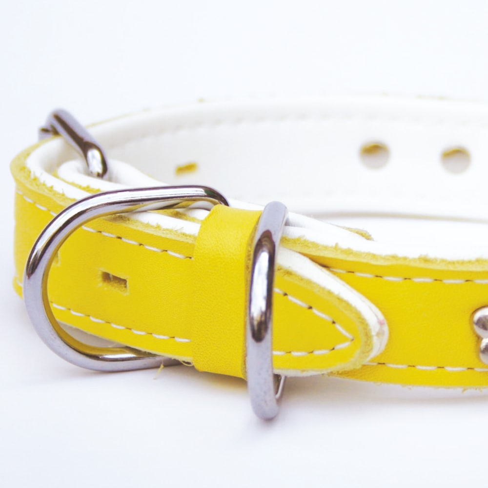 首輪｜ソフトカラー（イエロー）
<a href=