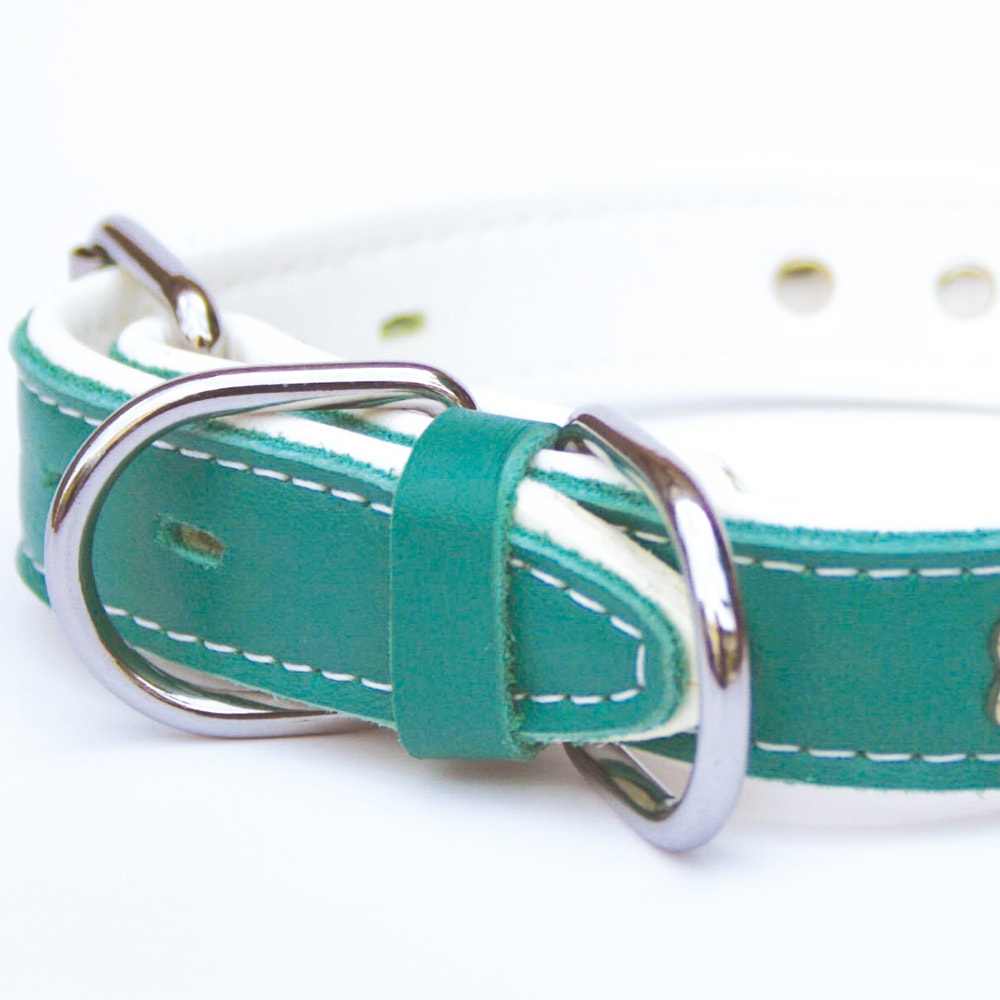 首輪｜ソフトカラー（グリーン）
<a href=