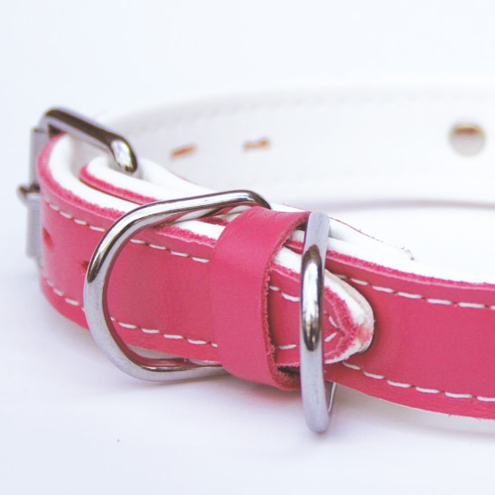 首輪｜ソフトカラー（ピンク）
<a href=