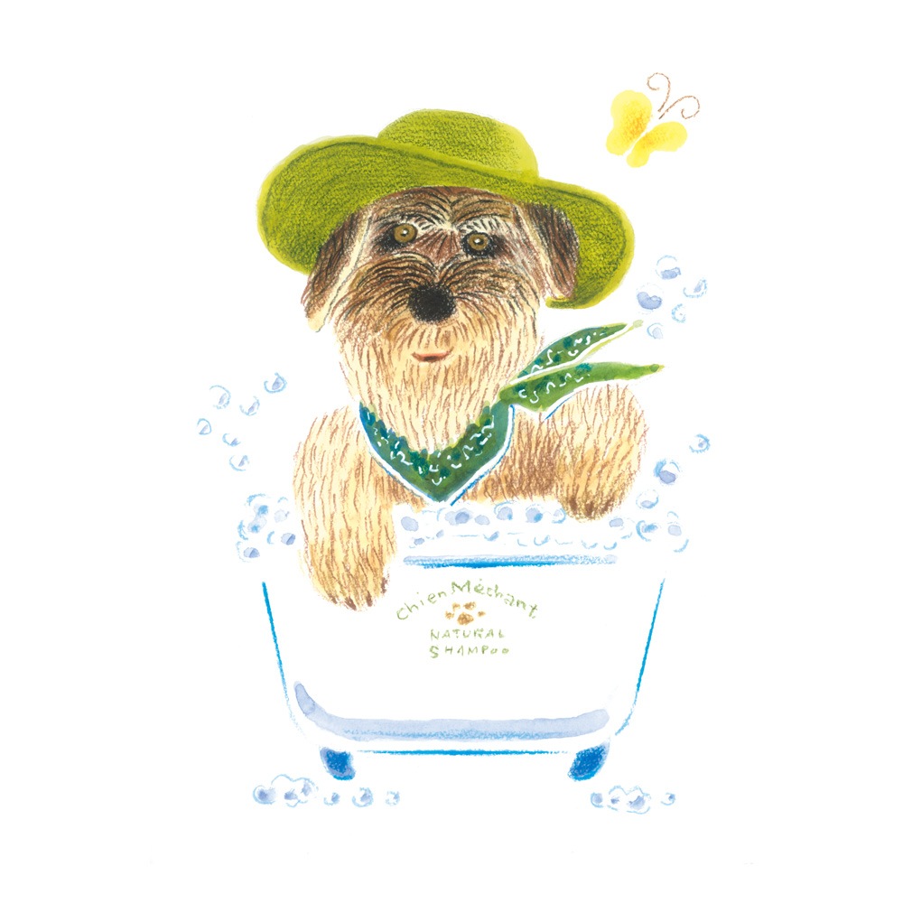 トリミング防水エプロン　バックルタイプ　犬とバスタブ