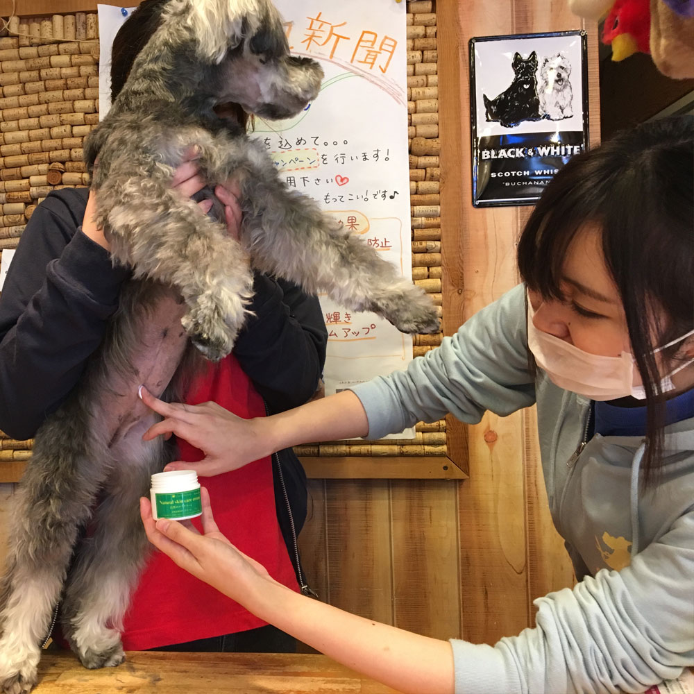 自然のケアクリーム