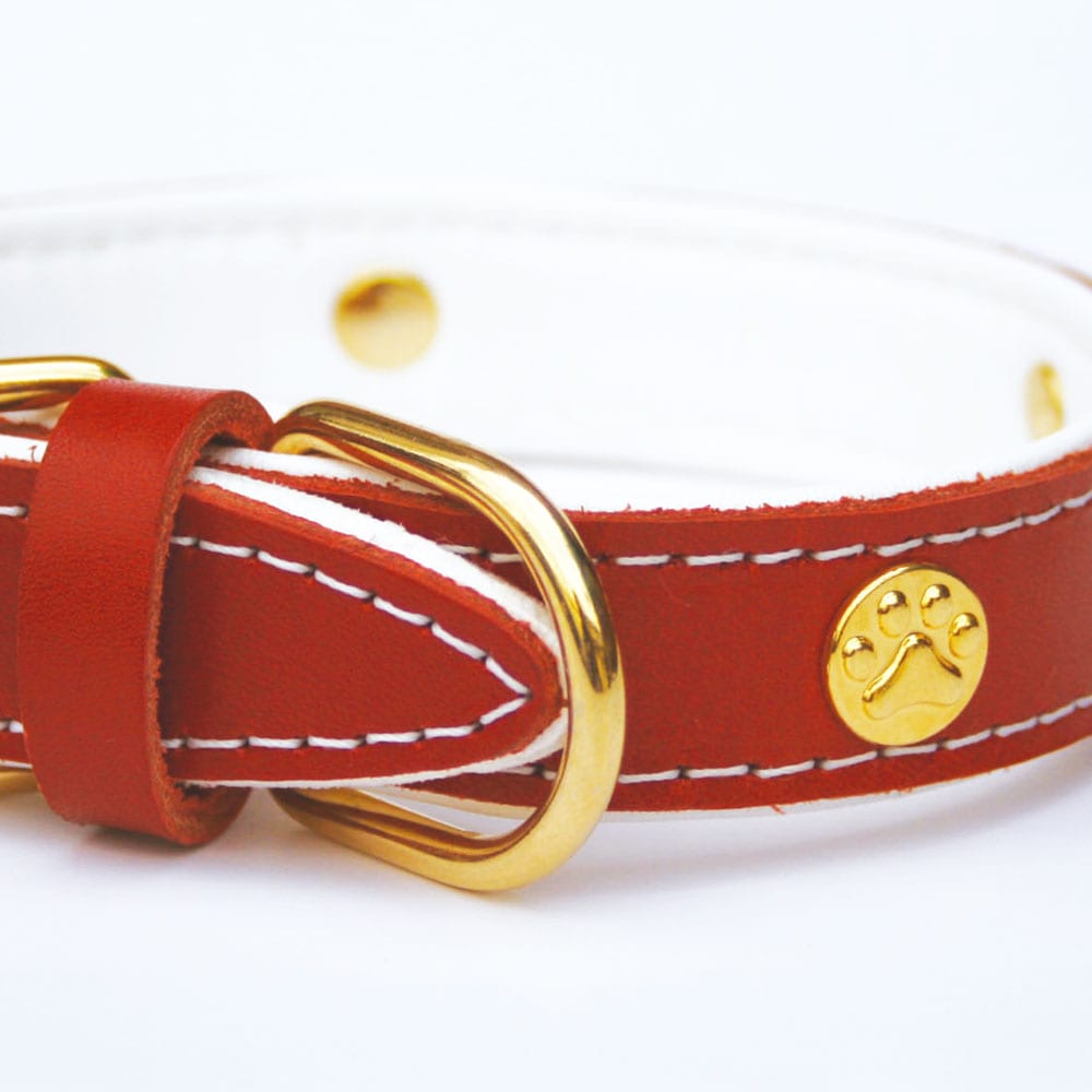 首輪｜PAW（足あと） | ペット用品,首輪・ハーネス・リード,首輪