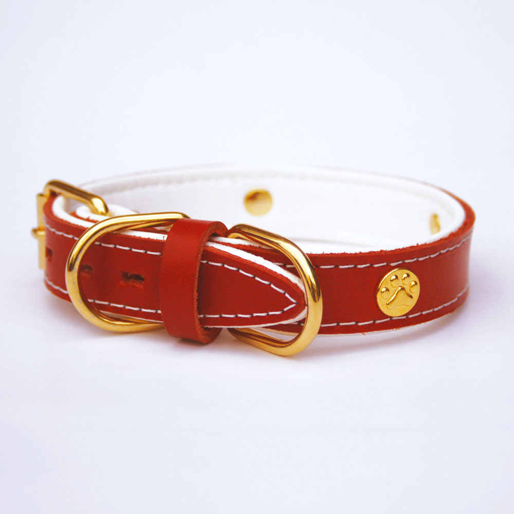 首輪｜PAW（足あと） | ペット用品,首輪・ハーネス・リード,首輪