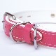 首輪｜ソフトカラー（ピンク）