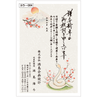 ǯ顼064