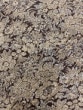 風通ラメジャカード ＜001-12330＞　※在庫限り商品