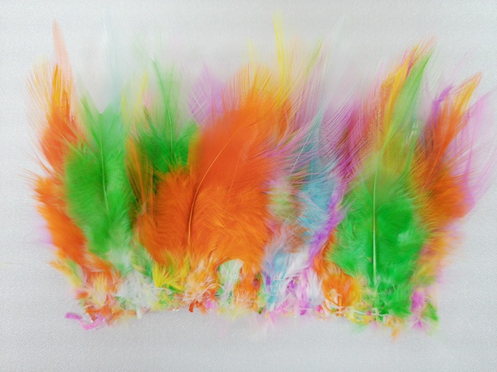 220024<br> ̵ʤ꼡轪λ