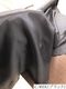 100294<br>���ʤ䤫�ե����ƥ������꡼ ΢�� �ݥꥨ���ƥ�ĥ���