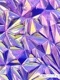 7002875<br>饯å㡼<br>  åù