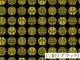 018-AP55806-2<br>���㥤�����ץ��� �Ⱦ͡�***ȿ�㤤���� ȿ�㤤�Τ�***