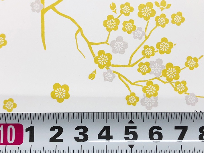 018-AP55806-3<br>���㥤�����ץ��� �ߡ�***ȿ�㤤���� ȿ�㤤�Τ�***