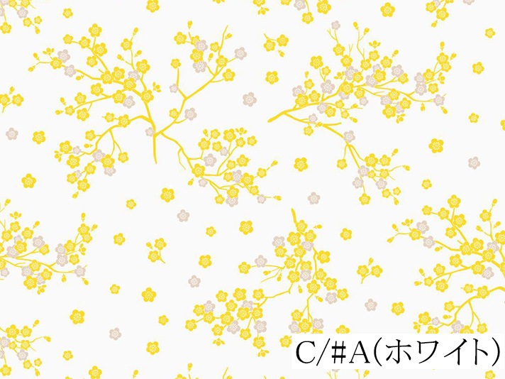 018-AP55806-3<br>���㥤�����ץ��� �ߡ�***ȿ�㤤���� ȿ�㤤�Τ�***