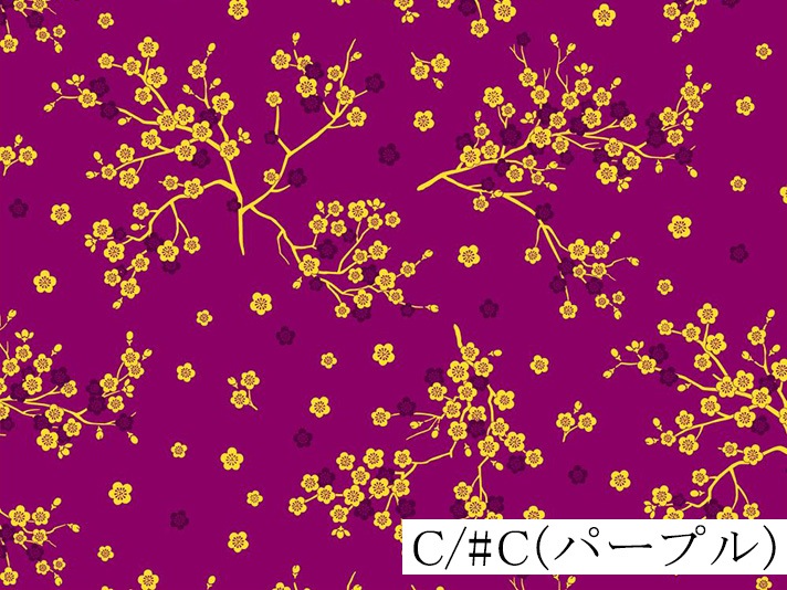 018-AP55806-3<br>���㥤�����ץ��� �ߡ�***ȿ�㤤���� ȿ�㤤�Τ�***