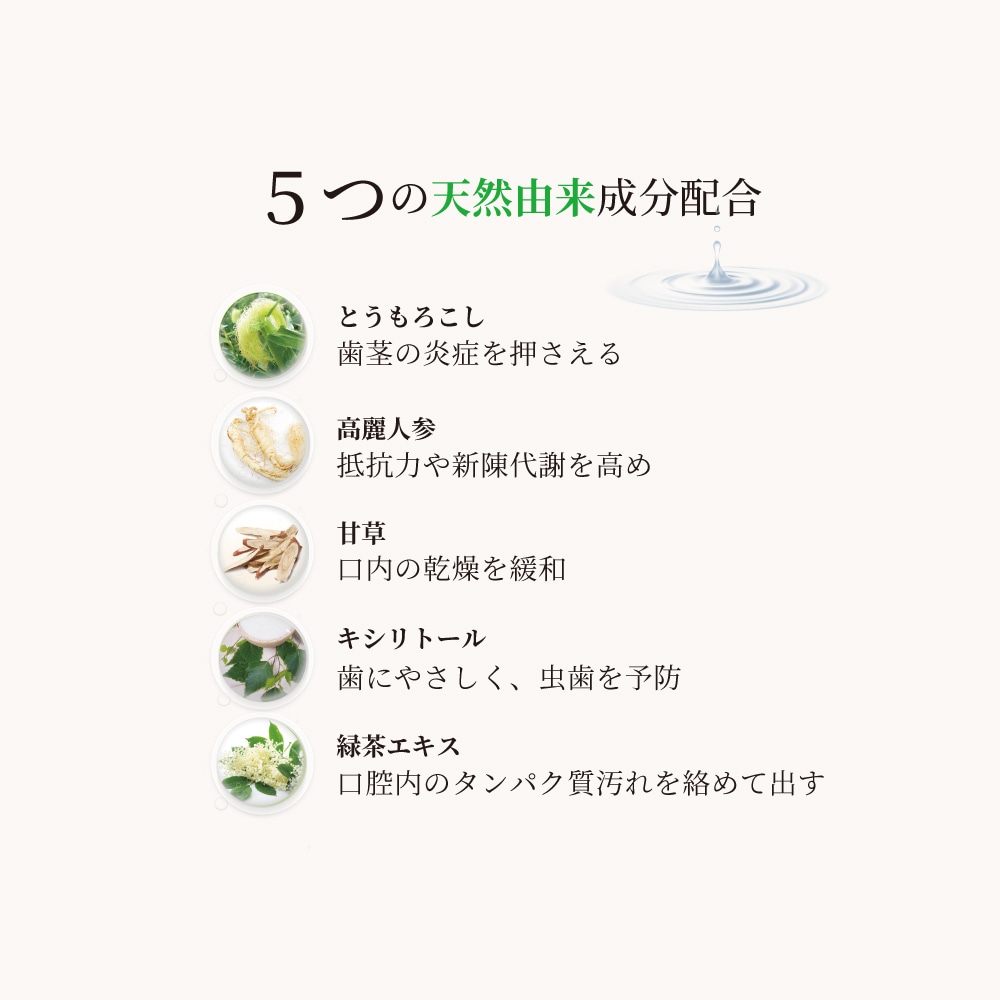 ＜CORN GARGLE Q リニューアル登場＞ ブラン ド ポム 25本まとめ買いお得セット ボトルタイプ/500ml〈Stick50包付〉