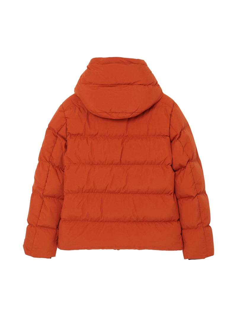 2_000000008762.jpg?1729819656