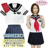 �ղ� Ⱦµ �����顼�� ñ��/���åȡ����ǻ������饤��ˢ��ܳ���/���������礭������������