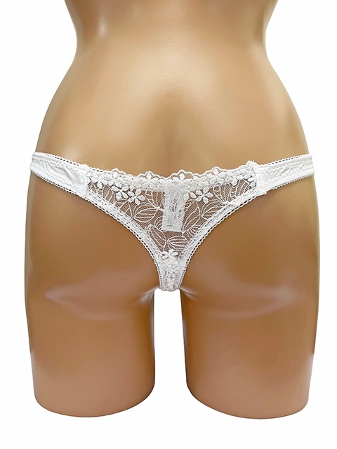 ���������ۥե����&�Хå����졼�� ���֥�ꤢ�����硼�Ģ�������/��