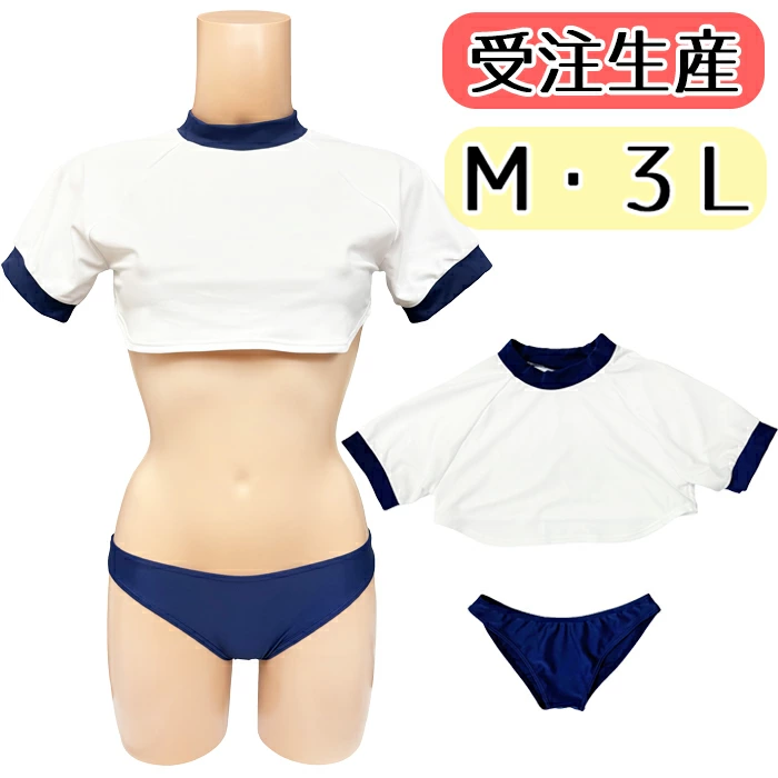 ڥᥤȥꥸʥۥߥ˾ѡ饤֥SETߺ/M3L